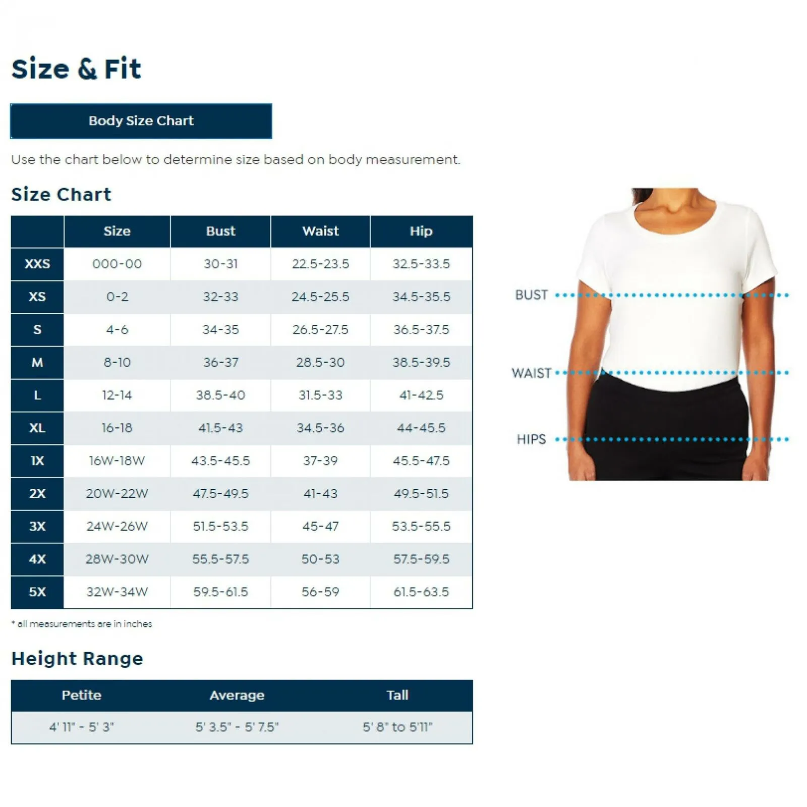 Curations Women's Plus Size Artisan Lace Blouse With Cami